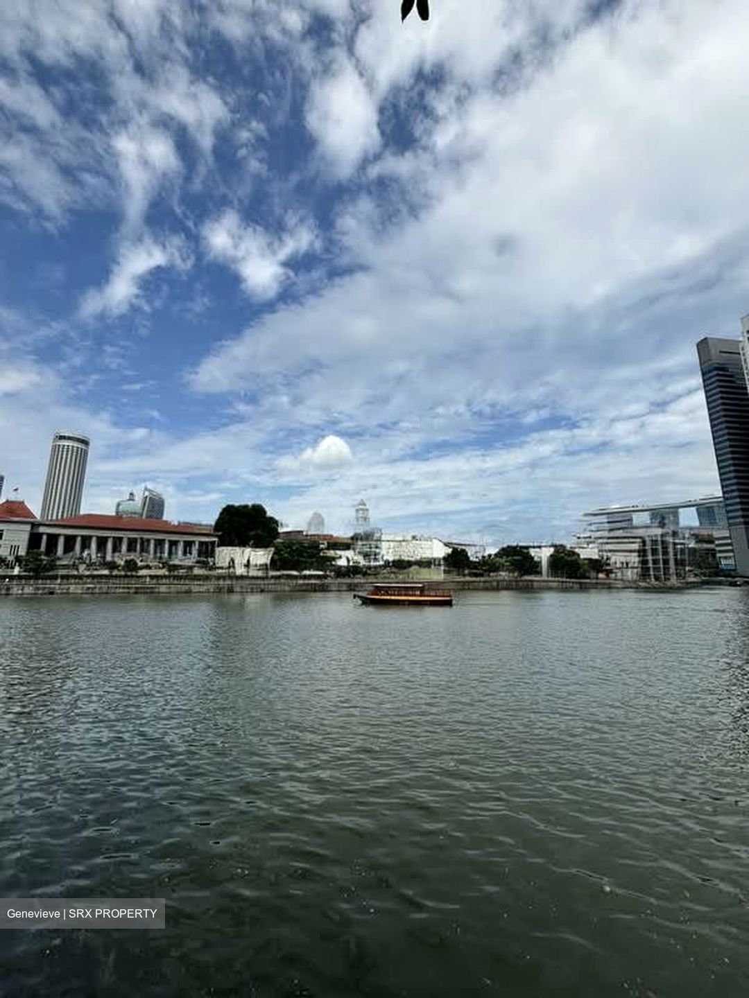 Boat Quay Conservation Area (D1), Shop House #564778391